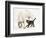 Tabby Kitten, Fosset, 10 Weeks, with Great Dane Puppy, Tia, 14 Weeks-Mark Taylor-Framed Photographic Print