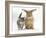 Tabby Kitten with Sandy Lionhead-Cross-Mark Taylor-Framed Photographic Print