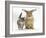 Tabby Kitten with Sandy Lionhead-Cross-Mark Taylor-Framed Photographic Print