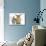 Tabby Kitten with Sandy Lionhead-Cross-Mark Taylor-Photographic Print displayed on a wall