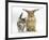 Tabby Kitten with Sandy Lionhead-Cross-Mark Taylor-Framed Photographic Print