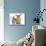 Tabby Kitten with Sandy Lionhead-Cross-Mark Taylor-Mounted Photographic Print displayed on a wall