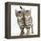 Tabby Kittens, Stanley and Fosset, 12 Weeks, Walking Together in Unison-Mark Taylor-Framed Premier Image Canvas