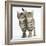 Tabby Kittens, Stanley and Fosset, 12 Weeks, Walking Together in Unison-Mark Taylor-Framed Photographic Print