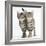 Tabby Kittens, Stanley and Fosset, 12 Weeks, Walking Together in Unison-Mark Taylor-Framed Photographic Print