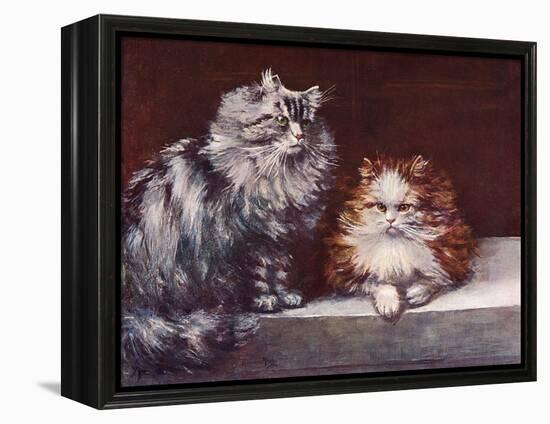 Tabby, Orange Persians-null-Framed Stretched Canvas