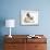 Tabby Point Birman Cat and Guinea Pig, Gyzmo-Mark Taylor-Framed Photographic Print displayed on a wall