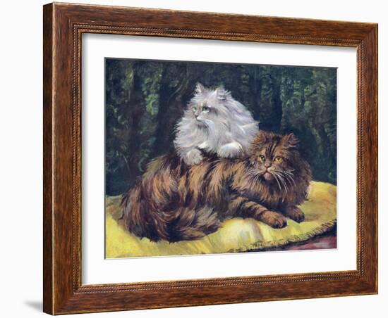 Tabby, Silver Persians-null-Framed Art Print