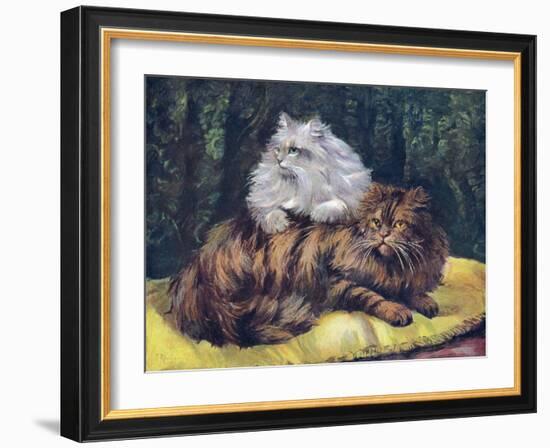 Tabby, Silver Persians-null-Framed Art Print