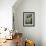 Tabby Tortoiseshell in an Ivy-Grown Window of a Deserted Victorian House-Jane Burton-Framed Photographic Print displayed on a wall