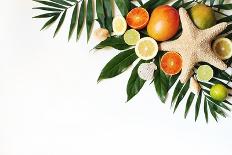 Exotic Composition of Seashells, Starfish, Mango, Lemons, Oranges, Lime Fruit and Lush Green Palm L-Tabitazn-Photographic Print