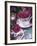 Table and Tableware Decorated with Roses-Elke Borkowski-Framed Photographic Print