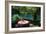 Table at the Blue Lagoon, Port Antonio, Jamaica-Natalie Tepper-Framed Photo