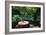 Table at the Blue Lagoon, Port Antonio, Jamaica-Natalie Tepper-Framed Photo