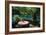 Table at the Blue Lagoon, Port Antonio, Jamaica-Natalie Tepper-Framed Photo