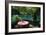 Table at the Blue Lagoon, Port Antonio, Jamaica-Natalie Tepper-Framed Photo