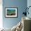 Table Coral and Reef Fish-Jones-Shimlock-Framed Giclee Print displayed on a wall