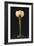 Table Lamp "Waterlily" Model Created Circa 1902-1904-Louis Majorelle-Framed Giclee Print