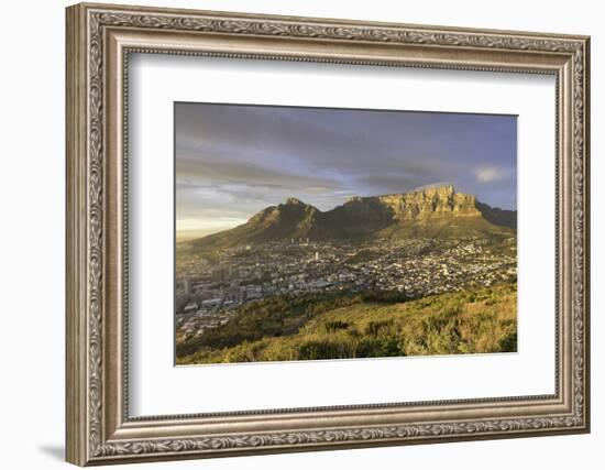 Table Mountain at dawn, Cape Town, Western Cape, South Africa, Africa-Ian Trower-Framed Photographic Print