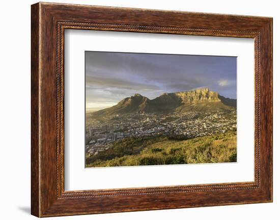 Table Mountain at dawn, Cape Town, Western Cape, South Africa, Africa-Ian Trower-Framed Photographic Print