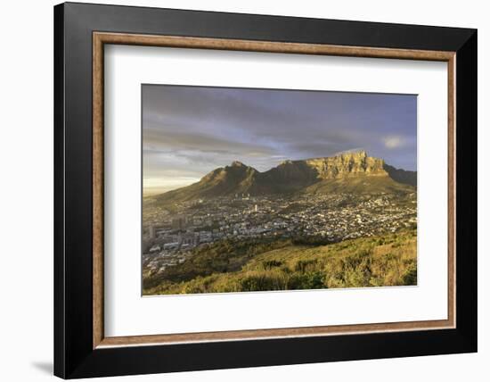 Table Mountain at dawn, Cape Town, Western Cape, South Africa, Africa-Ian Trower-Framed Photographic Print