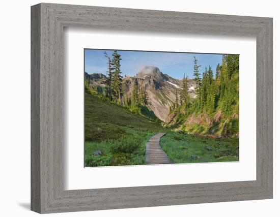 Table Mountain, Heather Meadows Recreation Area. North Cascades, Washington State-Alan Majchrowicz-Framed Photographic Print