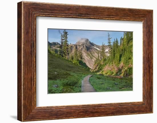 Table Mountain, Heather Meadows Recreation Area. North Cascades, Washington State-Alan Majchrowicz-Framed Photographic Print