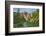 Table Mountain, Heather Meadows Recreation Area. North Cascades, Washington State-Alan Majchrowicz-Framed Photographic Print