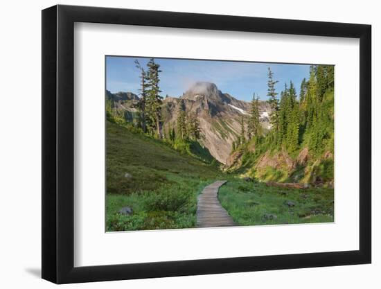 Table Mountain, Heather Meadows Recreation Area. North Cascades, Washington State-Alan Majchrowicz-Framed Photographic Print