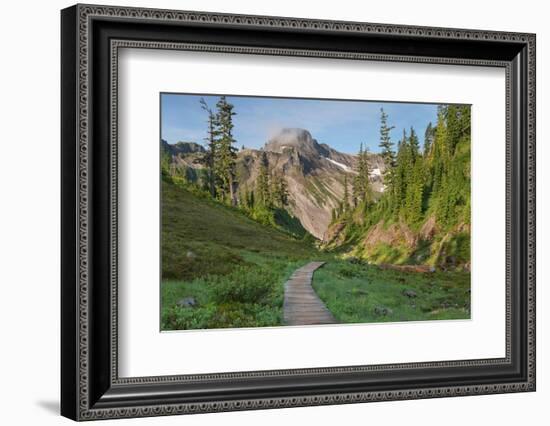 Table Mountain, Heather Meadows Recreation Area. North Cascades, Washington State-Alan Majchrowicz-Framed Photographic Print