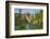 Table Mountain, Heather Meadows Recreation Area. North Cascades, Washington State-Alan Majchrowicz-Framed Photographic Print