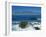 Table Mountain Viewed from Robben Island, Cape Town, South Africa-Amanda Hall-Framed Photographic Print