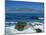 Table Mountain Viewed from Robben Island, Cape Town, South Africa-Amanda Hall-Mounted Photographic Print