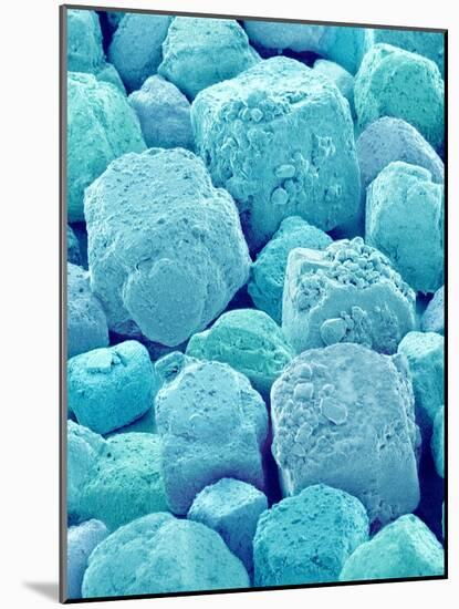 Table Salt-Micro Discovery-Mounted Photographic Print