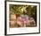 Table Set in a Garden-Pierre Bonnard-Framed Art Print