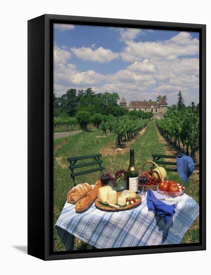 Table Set with a Picnic Lunch in a Vineyard in Aquitaine, France, Europe-Michael Busselle-Framed Premier Image Canvas