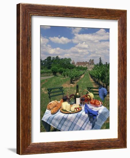 Table Set with a Picnic Lunch in a Vineyard in Aquitaine, France, Europe-Michael Busselle-Framed Photographic Print