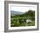 Table with Champagne Glasses in Vineyard in Champagne-Joerg Lehmann-Framed Photographic Print