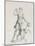 Tableau du Cabinet du Roi, statues et bustes antiques des Maisons Royales Tome I : planche 7-Claude Mellan-Mounted Giclee Print