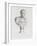 Tableau du Cabinet du Roi, statues et bustes antiques des Maisons Royales Tome II : planche 21-Etienne Baudet-Framed Giclee Print