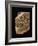 Tablet Bearing the Text of a Sumerian Creation Myth-null-Framed Giclee Print