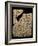 Tablet with Cuneiform Script, from Uruk, circa 3200 BC-null-Framed Giclee Print