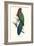 Tabuan Parakeet - Prosapeia Tabuensis-Edward Lear-Framed Art Print