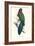 Tabuan Parakeet - Prosapeia Tabuensis-Edward Lear-Framed Art Print
