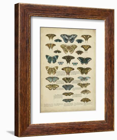 Tabula De Papilio-Sloan-Framed Premium Giclee Print