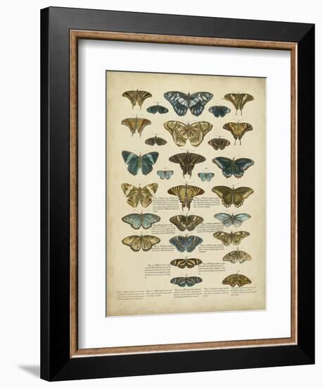 Tabula De Papilio-Sloan-Framed Premium Giclee Print