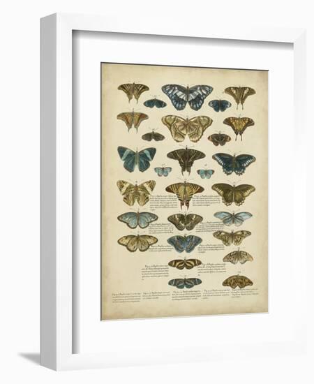 Tabula De Papilio-Sloan-Framed Premium Giclee Print