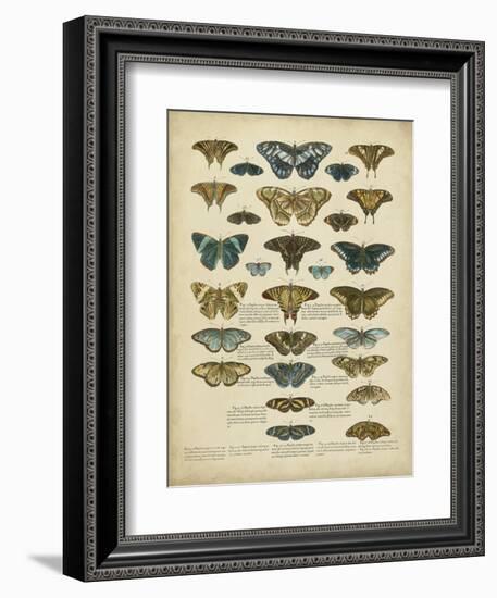 Tabula De Papilio-Sloan-Framed Premium Giclee Print