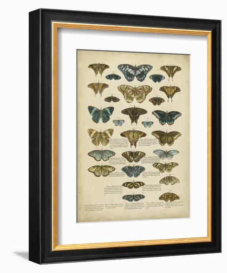 Tabula De Papilio-Sloan-Framed Premium Giclee Print