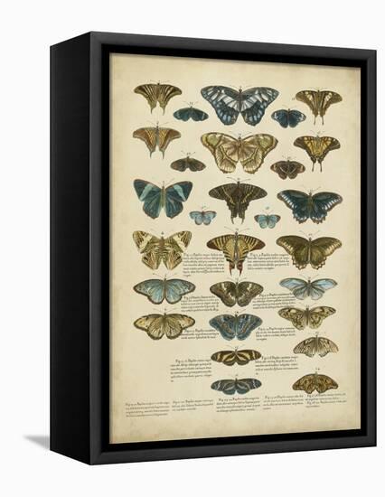 Tabula De Papilio-Sloan-Framed Stretched Canvas